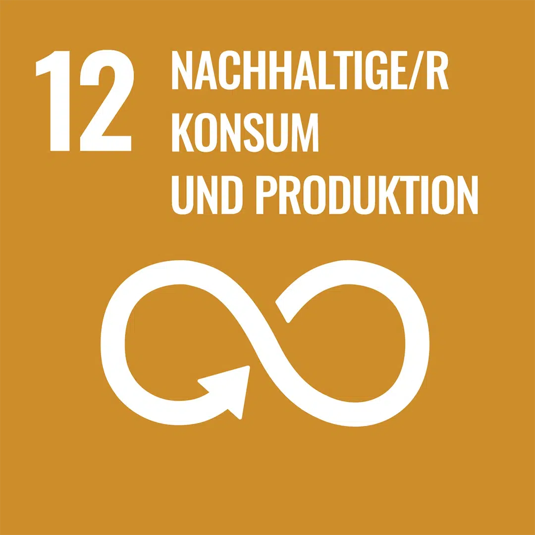 Braunes SDG-Icon 12 ‚Nachhaltiger Konsum und Produktion‘ mit weißem Unendlichkeits-Pfeilsymbol.