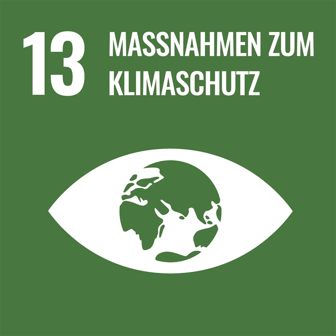 Grünes SDG-Icon 13 ‚Maßnahmen zum Klimaschutz‘ mit weißem Auge und grüner Erdkugel darin.