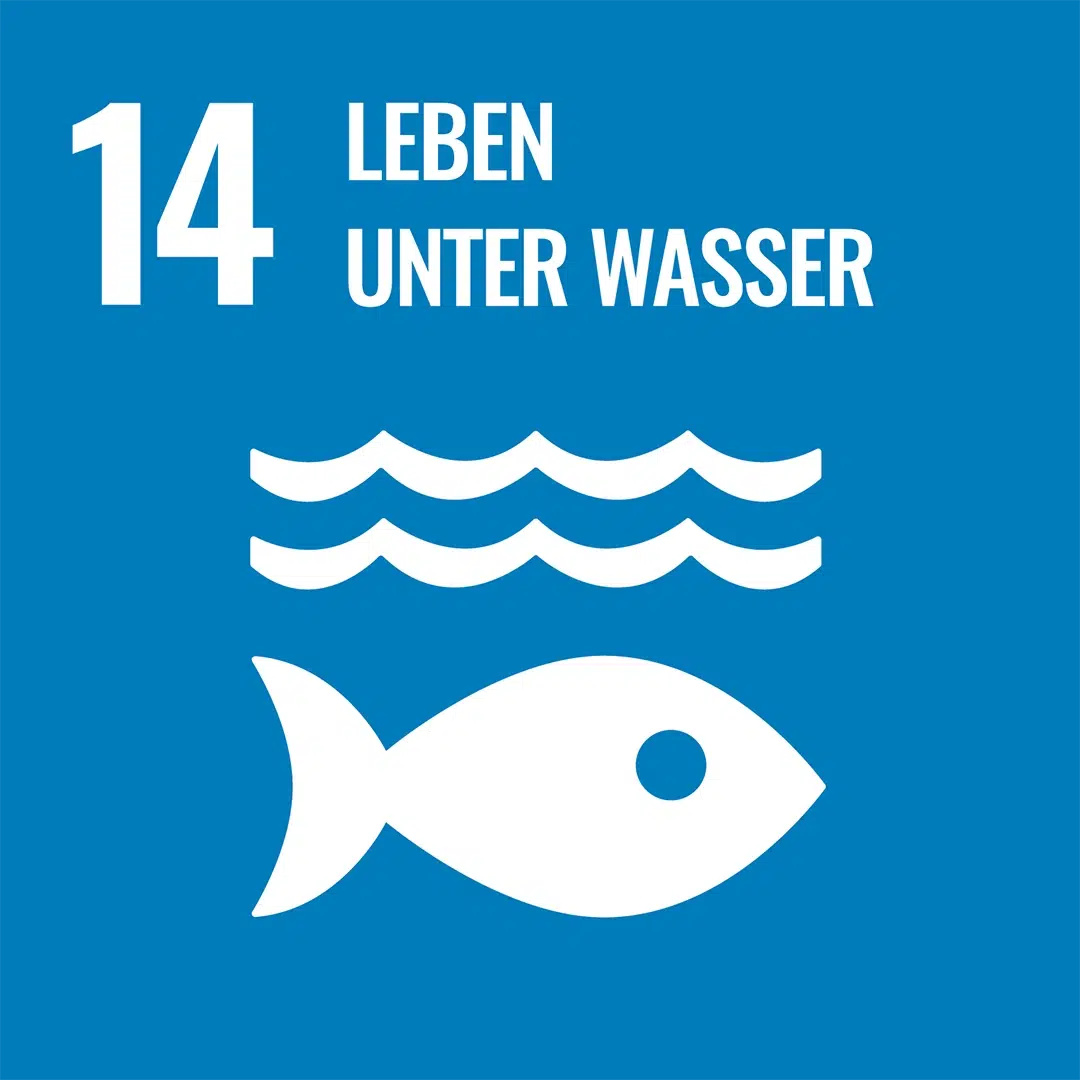 Blaues SDG-Icon 14 ‚Leben unter Wasser‘ mit weißem Fisch und drei Wellenlinien darüber.