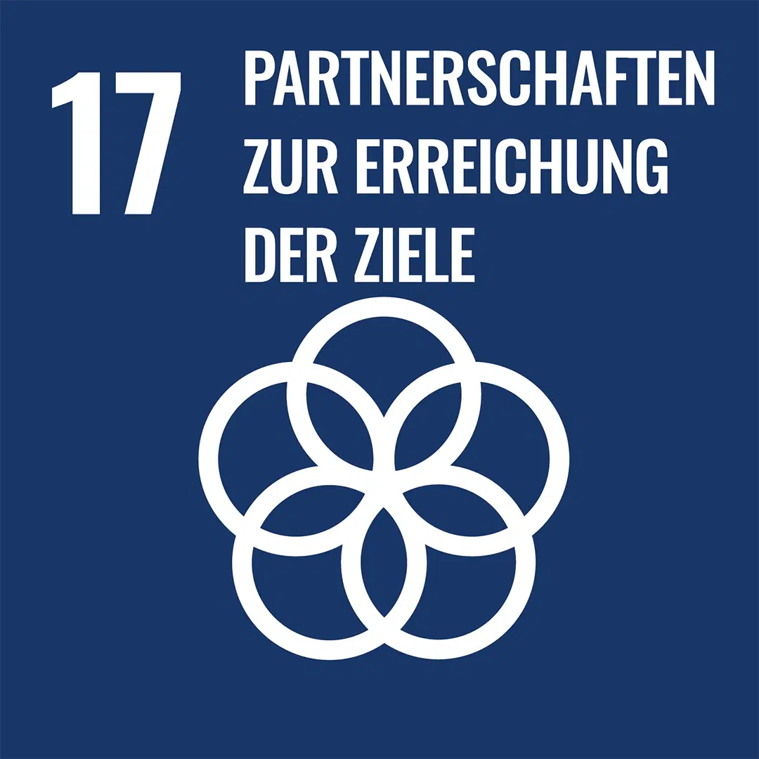Blaues SDG-Icon 17 mit weißem Symbol aus sechs verschlungenen Kreisen für Partnerschaften.
