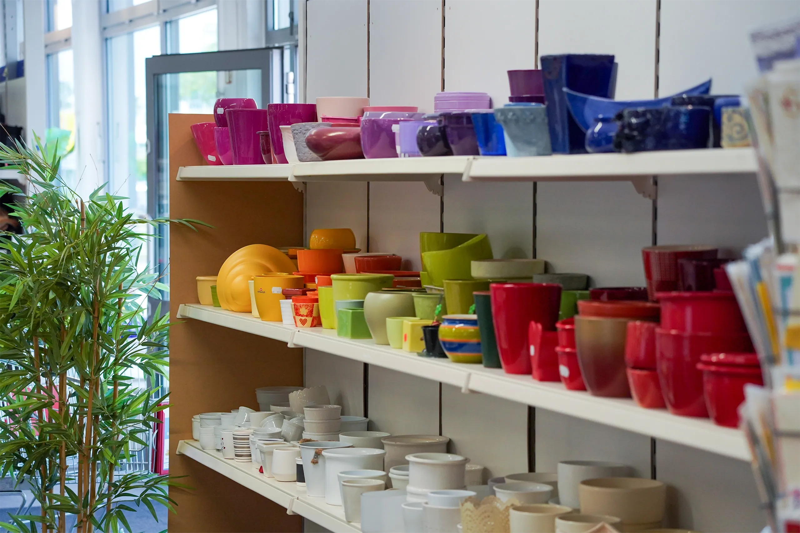 Buntes Geschirr und Pflanzgefäße auf Regalen in einem Geschäft, daneben eine grüne Pflanze.